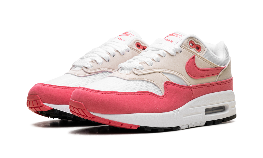 Nike Air Max 1 WMNS Aster Pink DZ2628 110
