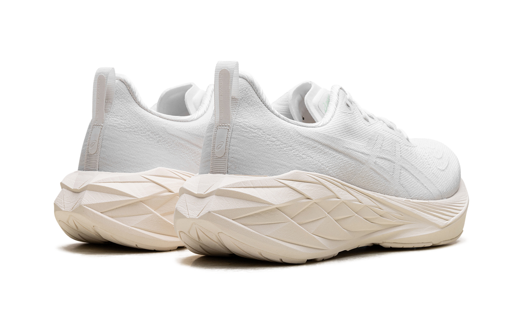 Asics Novablast 4 White / White 1011B693 102