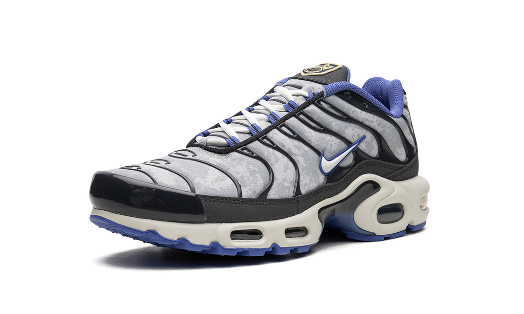 Nike Air Max Plus SE Social F.C. DQ3981 001