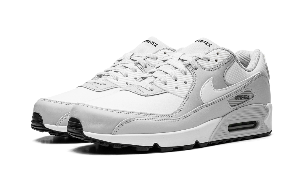 Nike Air Max 90 Gore-Tex DJ9779 003