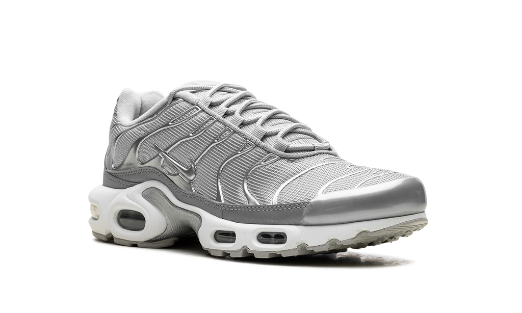 Nike Air Max Plus Metallic Silver Fj1012 095