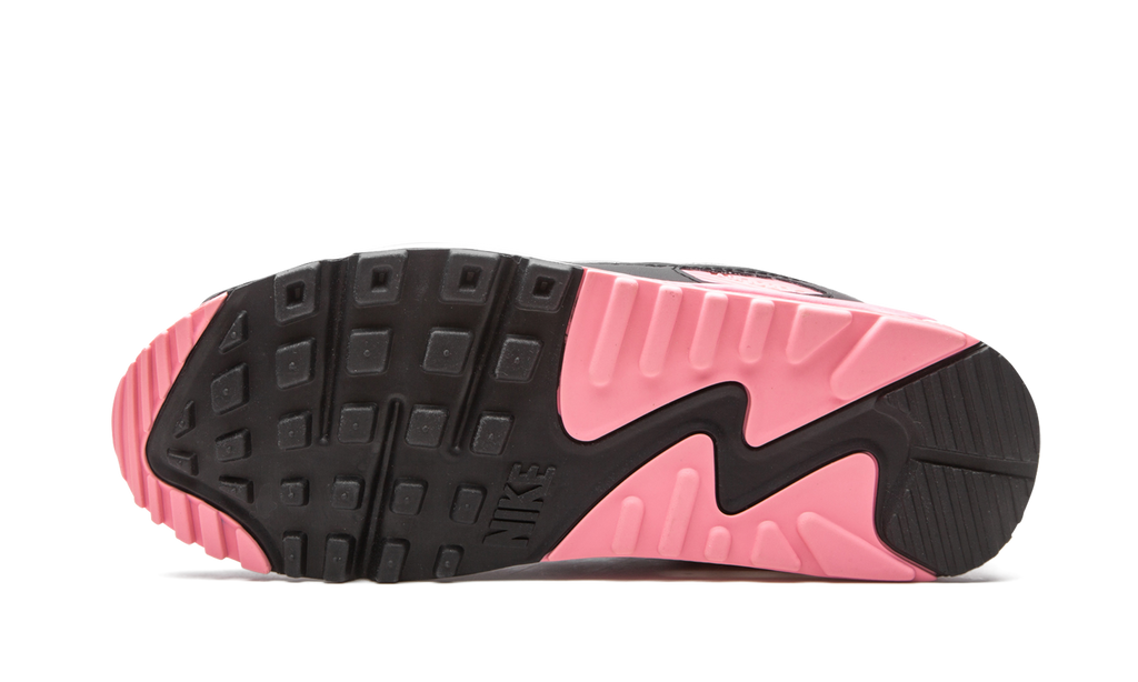 Nike Air Max 90 W Rose CD0490 102