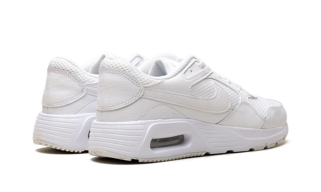 Nike Air MAX SC WMNS Photon Dust CW4554 101
