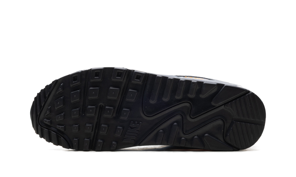 Nike Air Max 90 Cool Grey Sundial HV6224 002