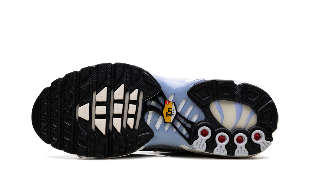 Nike Air Max Plus WMNS Daybreak DZ3670 004