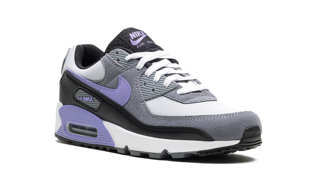 Nike Air Max 90 Light Thistle DM0029 014
