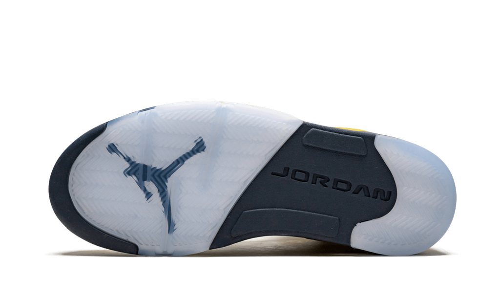 Air Jordan 5 Retro SE Michigan CQ9541 704