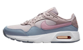 Nike Air Max SC WMNS Amethyst Ash CW4554 500