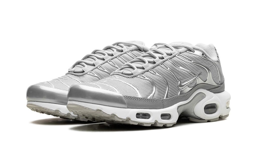Nike Air Max Plus Metallic Silver Fj1012 095