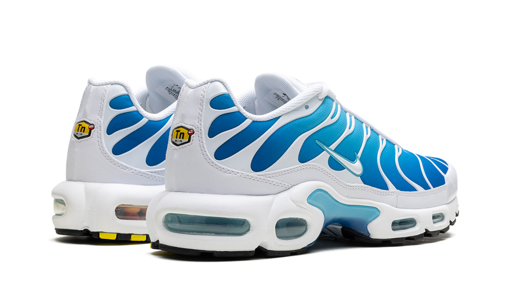 Nike Air Max Plus Blue Gaze 852630 411