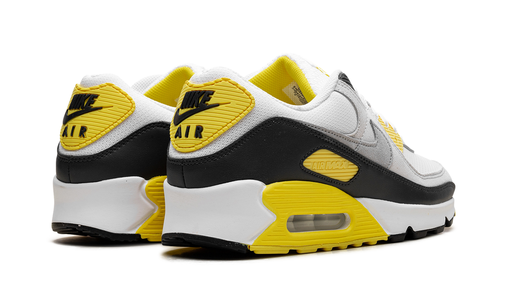Nike Air Max 90 White Lightning DM0029 111