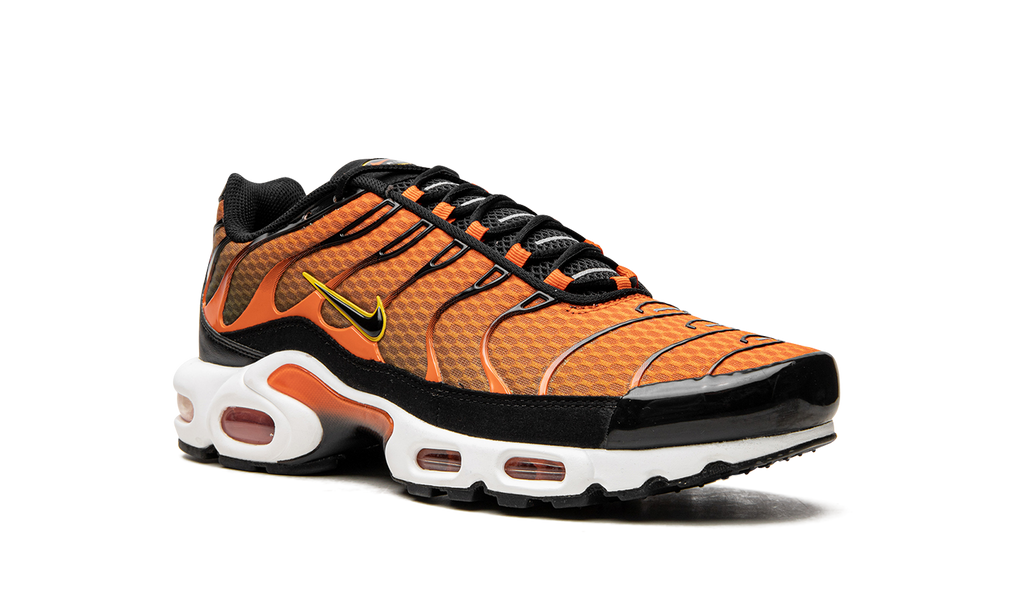 Nike Air Max Plus Safety Orange DM0032 800