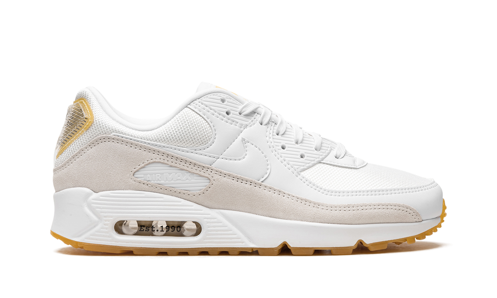Nike Air Max 90 Frank Rudy DV1734 100
