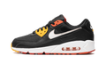 Nike Air Max 90 Raygun DJ9250 001