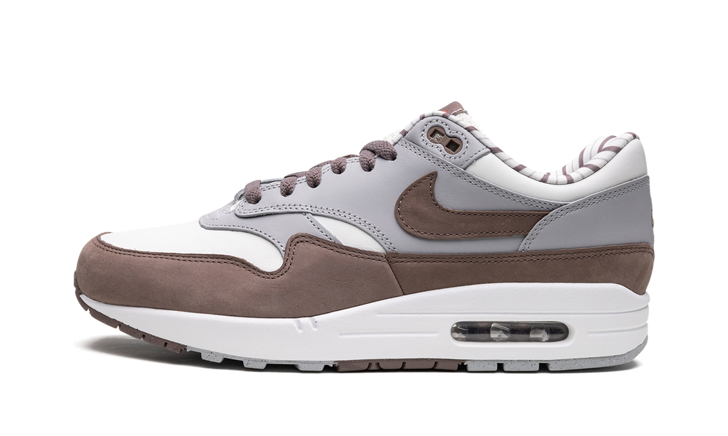 Nike Air Max 1 Shima Shima FB8916 100