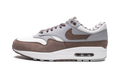 Nike Air Max 1 Shima Shima FB8916 100