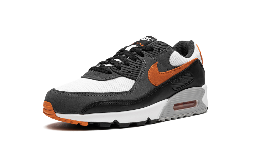 Nike Air Max 90 Starfish DM0029 101