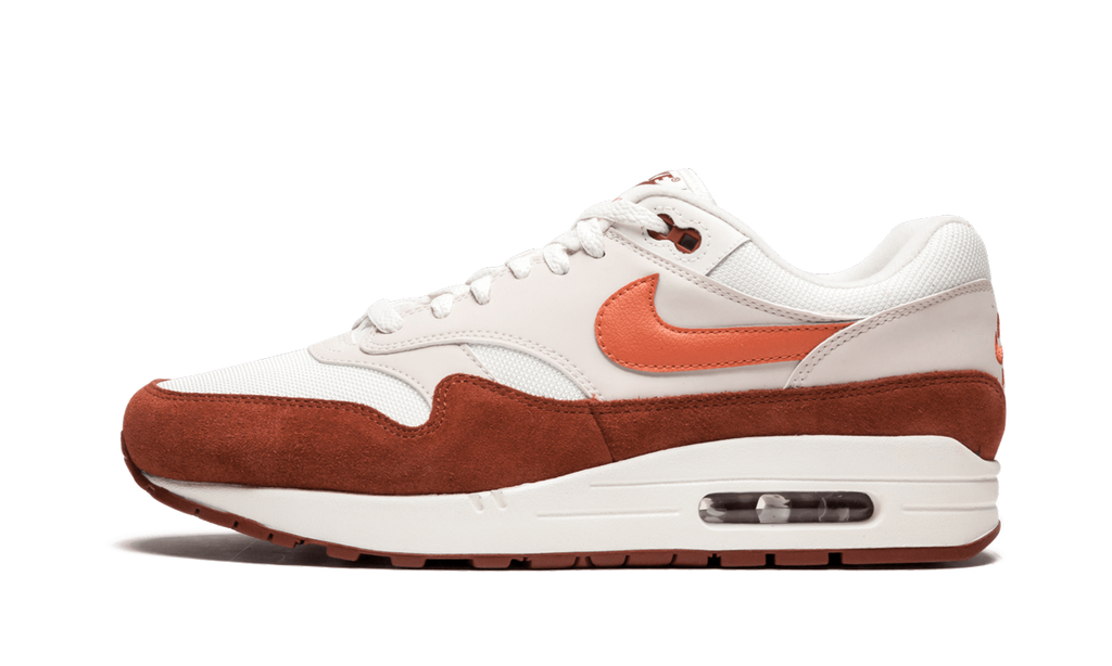 Nike Air Max 1 AH8145 104