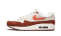 Nike Air Max 1 AH8145 104