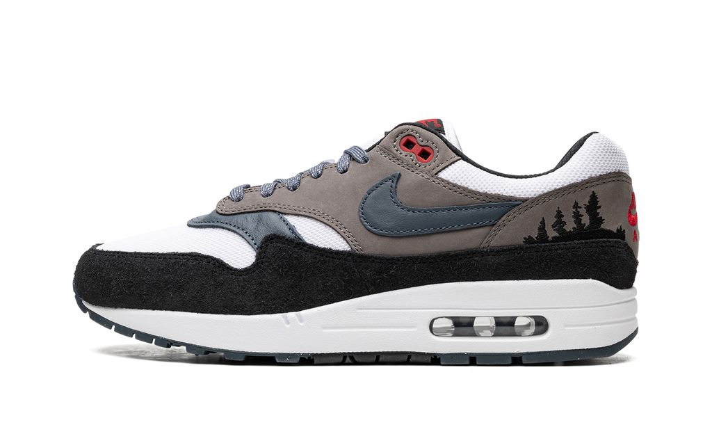 Nike Air Max 1 Slate Blue FJ0698 100