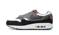 Nike Air Max 1 Slate Blue FJ0698 100