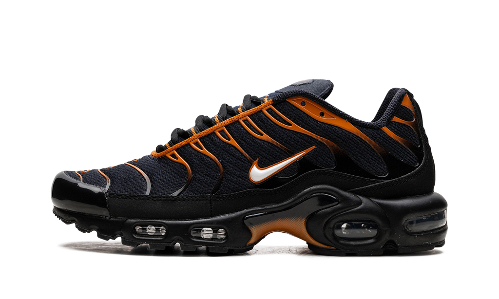 Nike Air Max Plus OBSIDIAN MONARCH FN6949 400