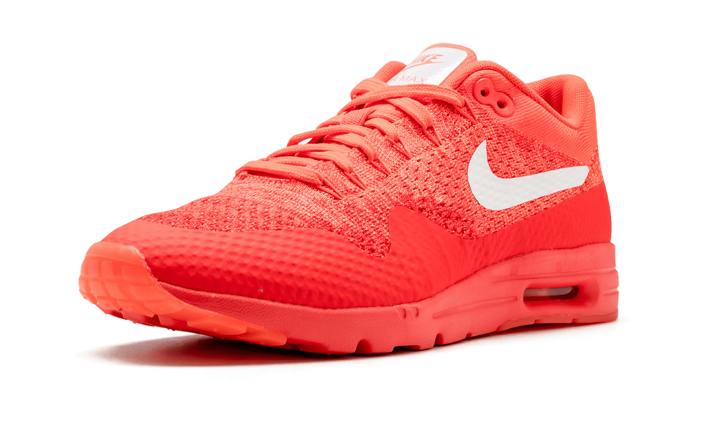 Nike AIR MAX 1 ULTRA FLYKNIT WMNS 843387 601