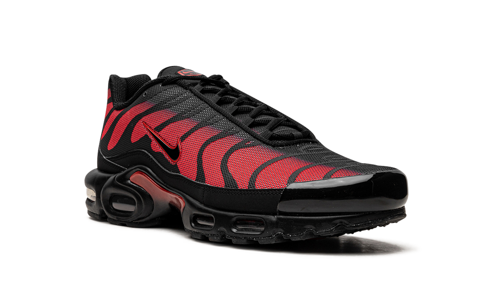 Nike Air Max Plus Bred Reflective DZ4507 600