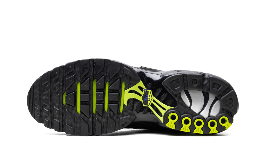 Nike Air Max Plus Metallic Black FJ2591 001