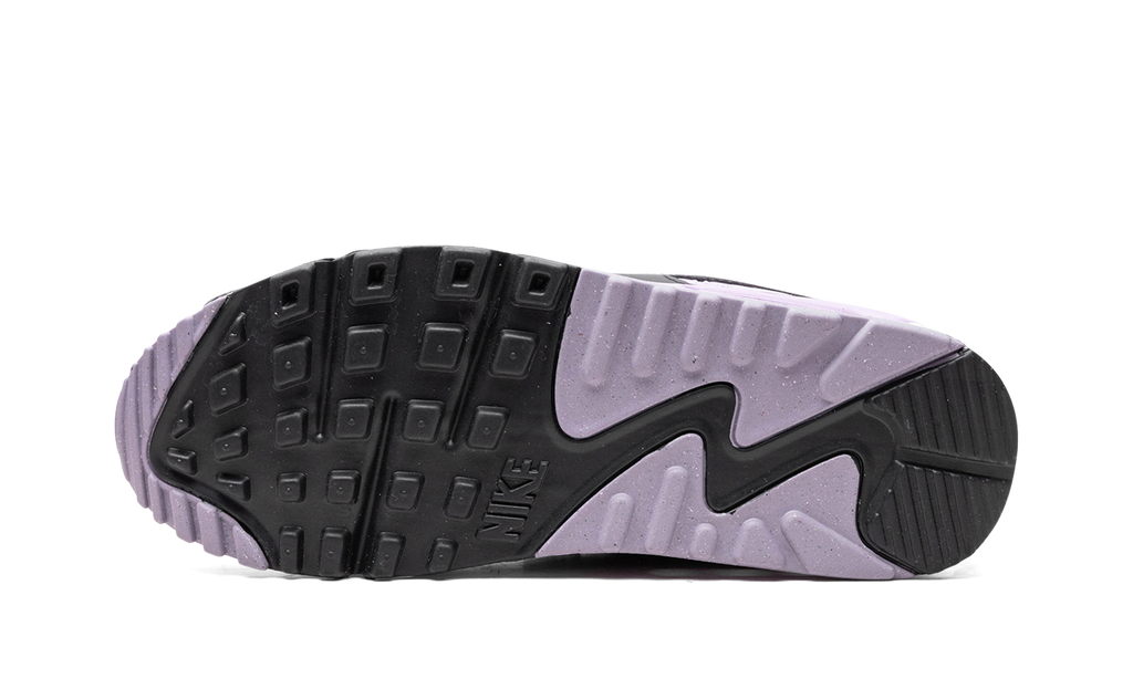 Nike Air Max 90 WMNS White Lilac DH8010 103