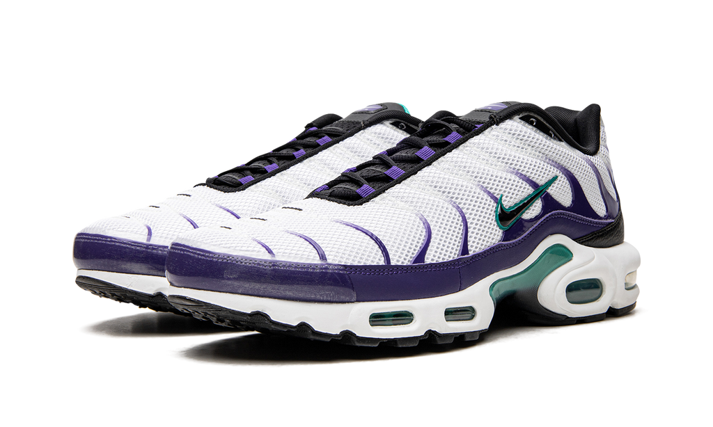 Nike Air Max Plus Grape DM0032 100