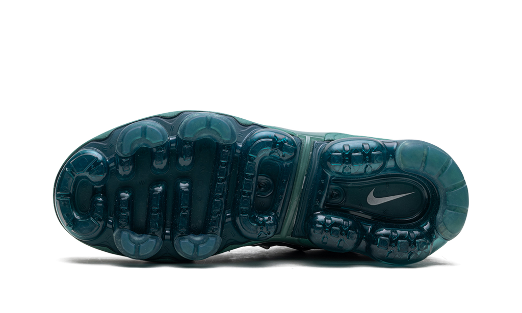 Nike Air Max VaporMax Plus WMNS Bicoastal HF5048 361
