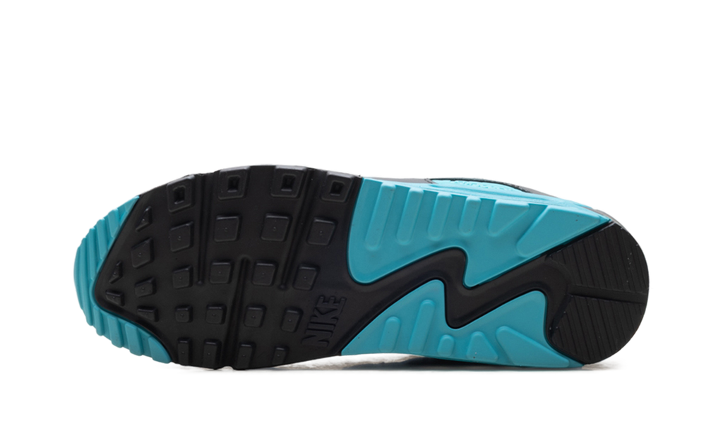 Nike Air Max 90 Dusty Cactus DM0029 013