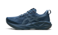 Asics Novablast 5 Sea / Stillwater 1011B974 405