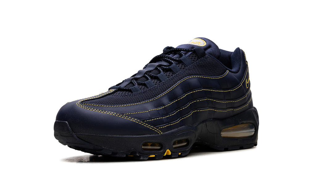 Nike Air Max 95 Michigan IB7936 400
