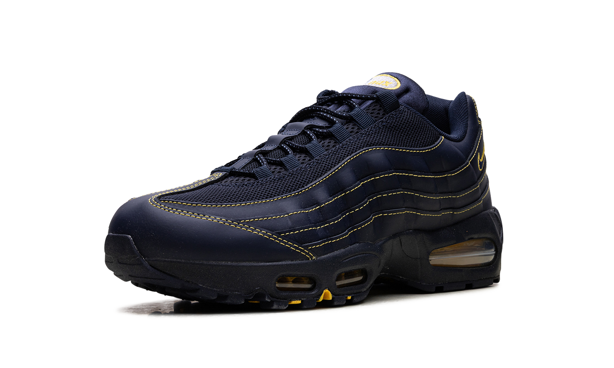 Nike Air Max 95 Michigan IB7936 400