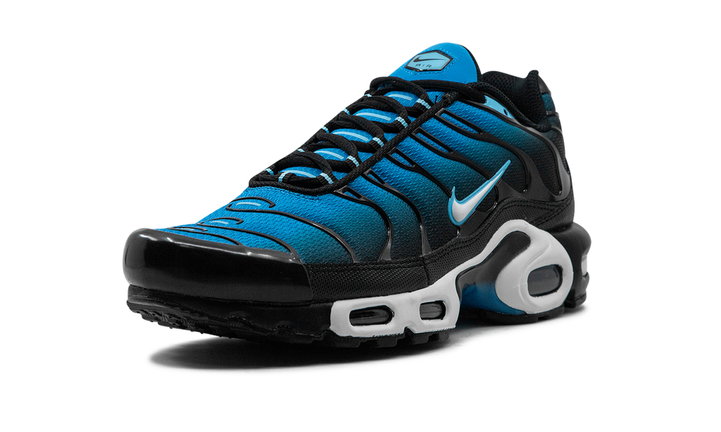 Nike Air Max Plus Aquarius Blue DM0032 402
