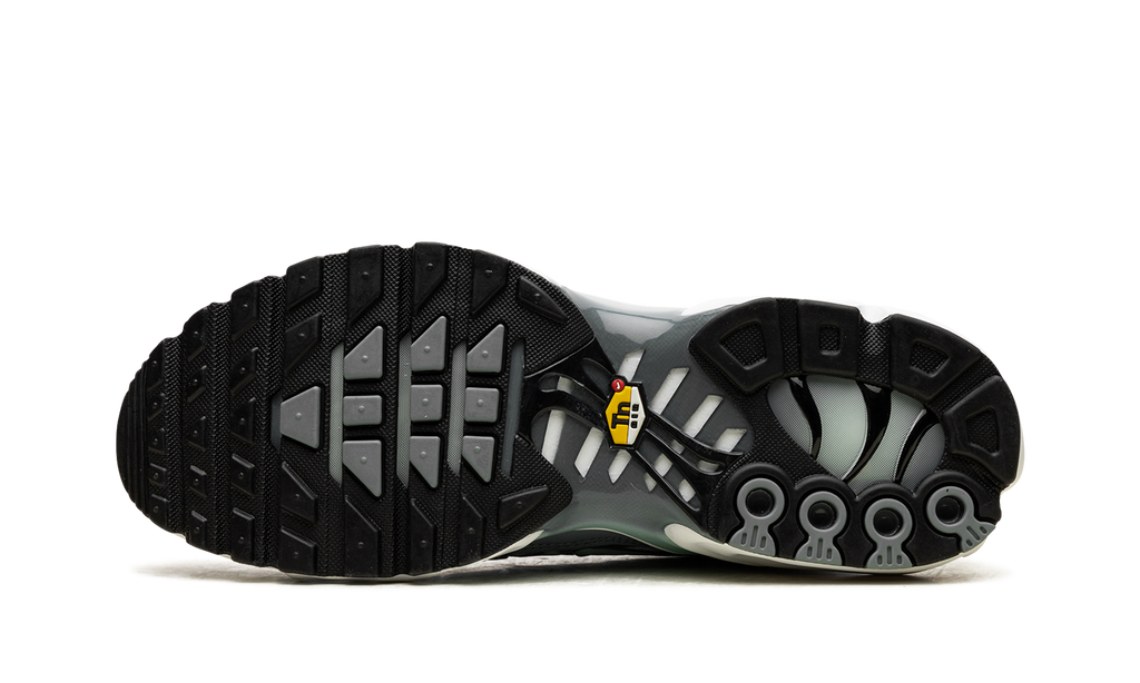 Nike Air Max Plus Waterway FV0394 300
