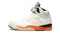 Air Jordan 5 Retro Shattered Backboard DC1060 100
