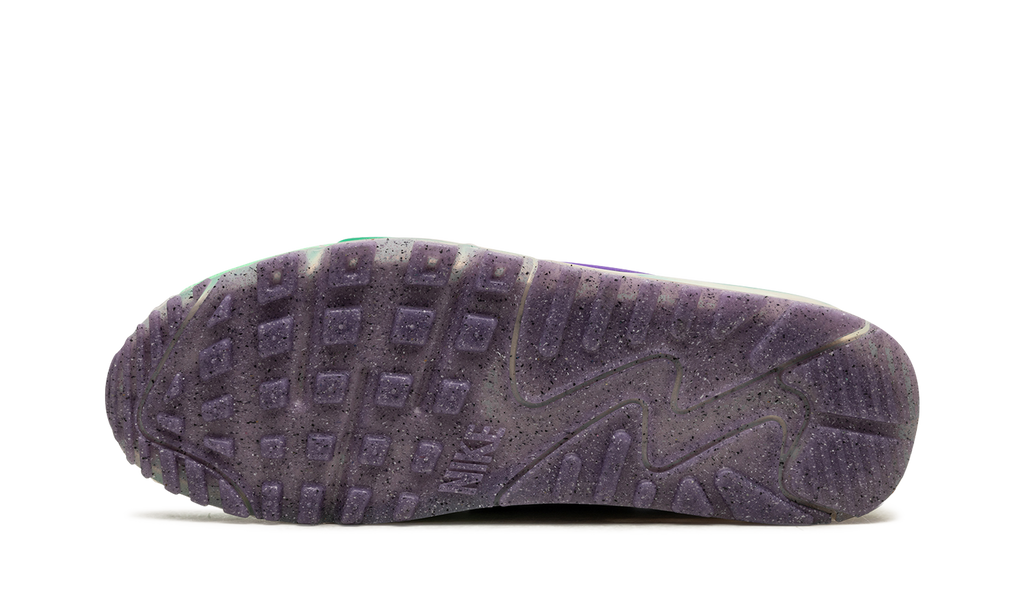 Nike Air Max Terrascape 90 Phanton Action Grape DV7413 001
