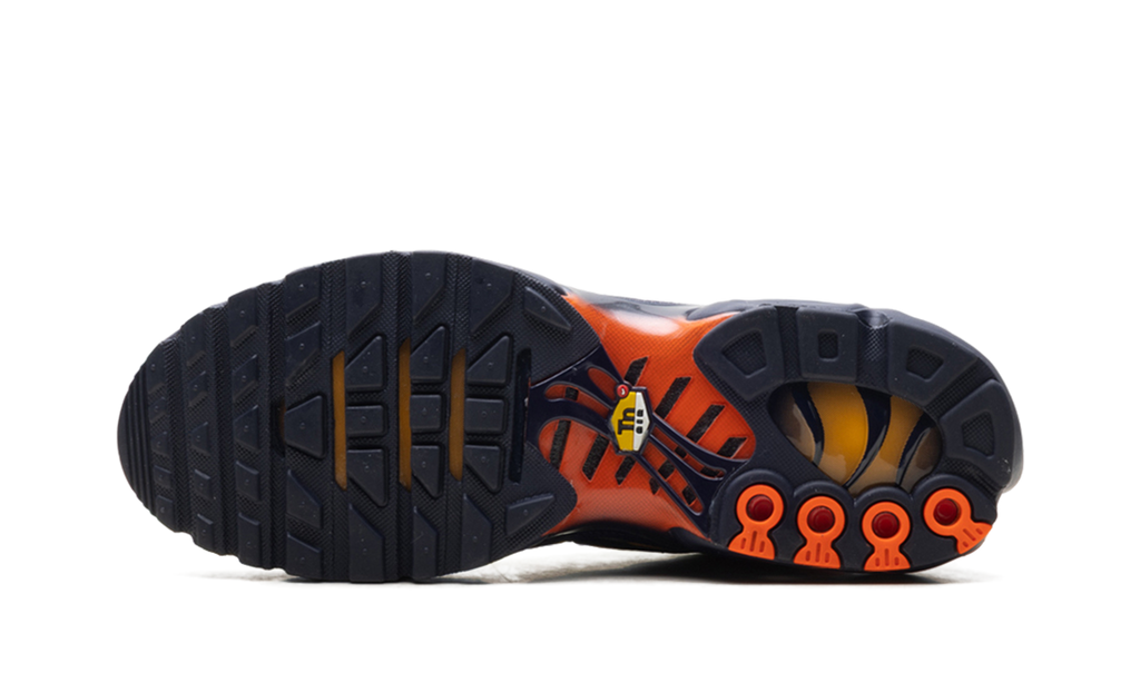 Nike Air Max Plus Lemon Venom DM0032 701