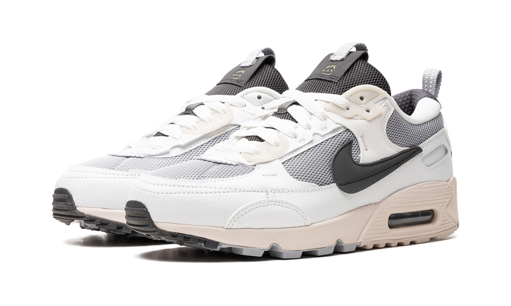 Nike AIR MAX 90 FUTURA WMNS Wolf Grey Summit White DZ4708 001