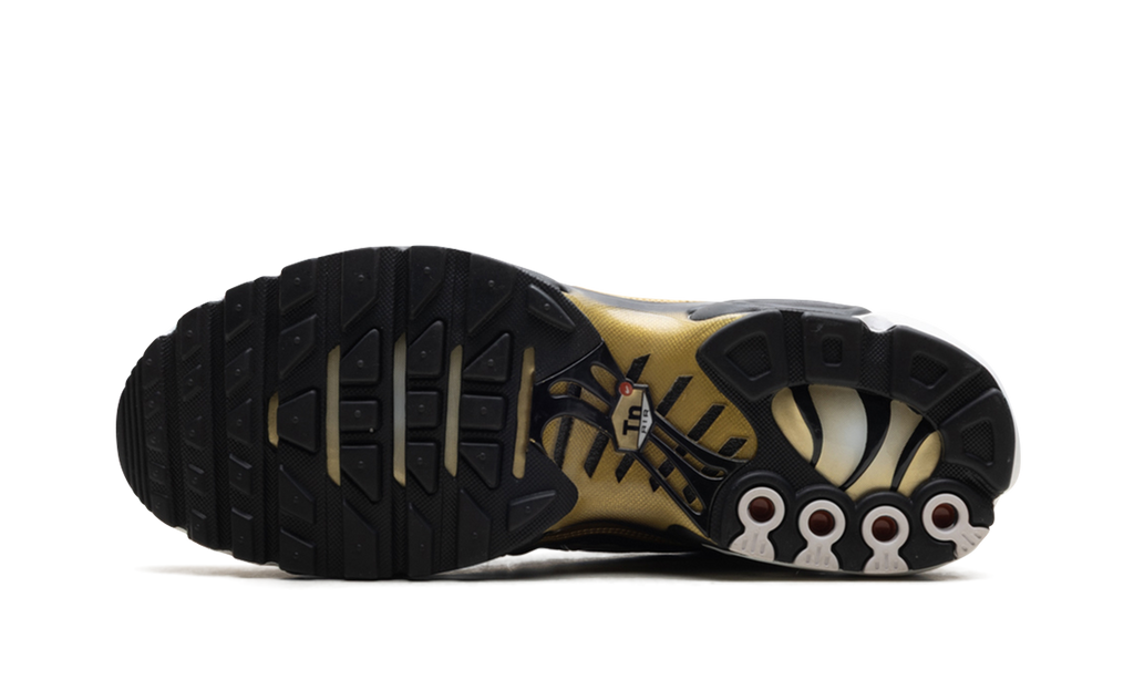 Nike Air Max Plus Footlocker - 50th Anniversary HM0352 100