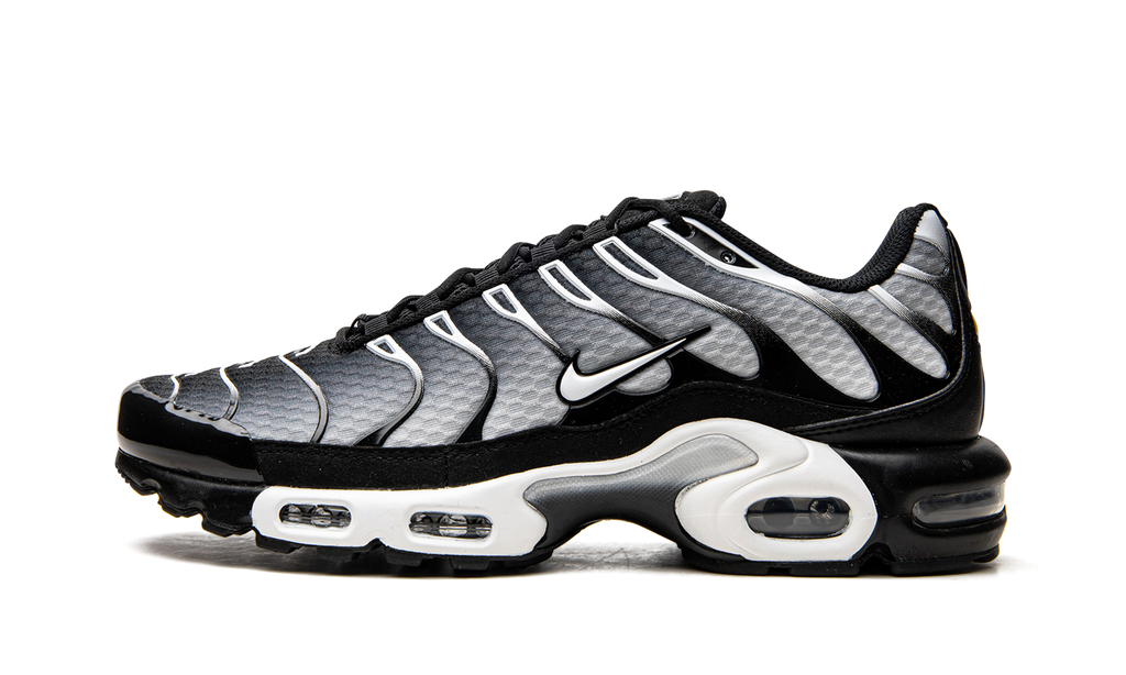 Nike Air Max Plus Black / Silver DM0032 003