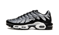 Nike Air Max Plus Black / Silver DM0032 003
