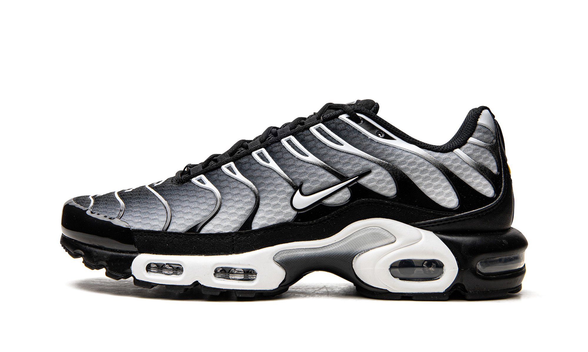 Nike Air Max Plus Black / Silver DM0032 003
