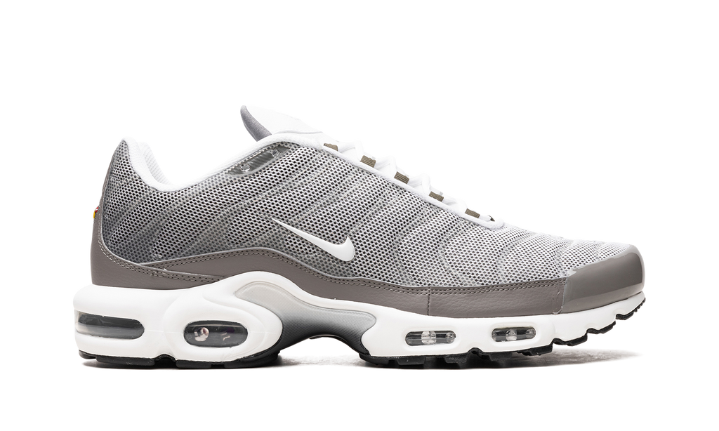 Nike Air Max Plus SE Flat Pewter DV7665 002