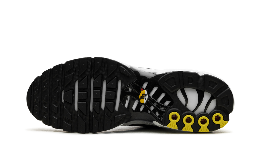 Nike Air Max Plus Black / White CT1094 102