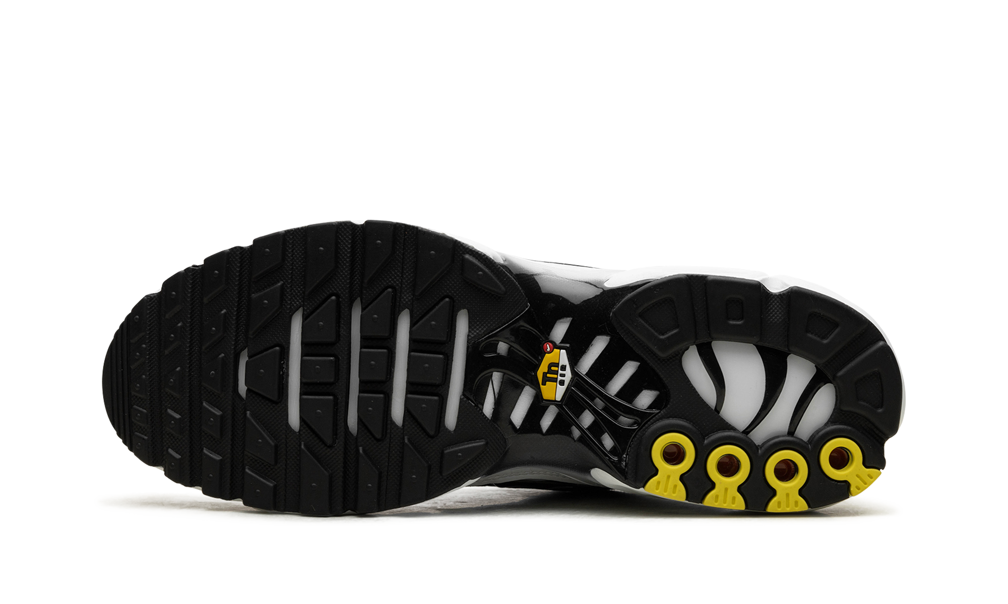 Nike Air Max Plus Black / White CT1094 102
