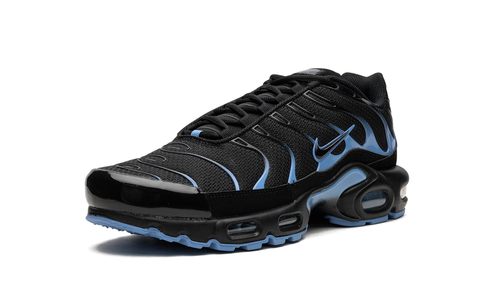 Nike Air Max Plus Black / University Blue DM0032 005